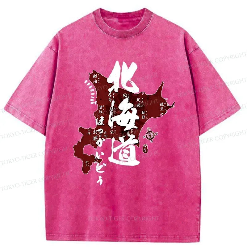 Kyoto lion retro tee streetwear for men