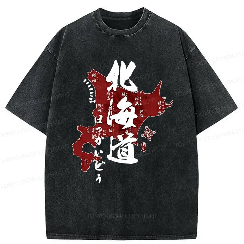 Kyoto lion retro tee streetwear for men
