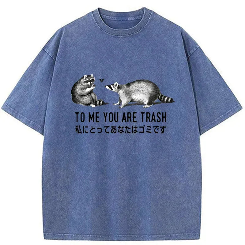 Kyoto-Lion Raccoon Courting Washed T-Shirt