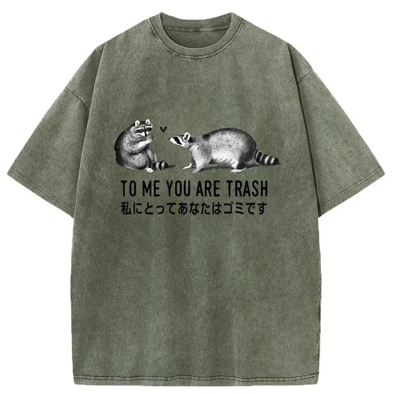 Kyoto-Lion Raccoon Courting Washed T-Shirt