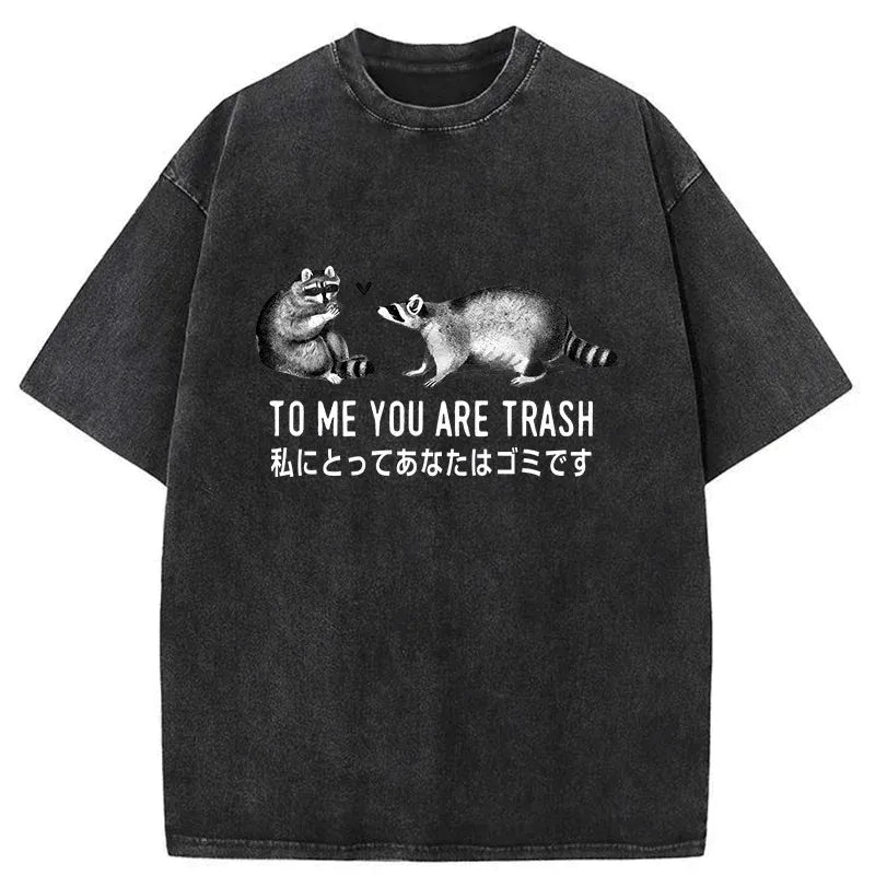 Kyoto Lion Courting Raccoon T-Shirt Best Seller