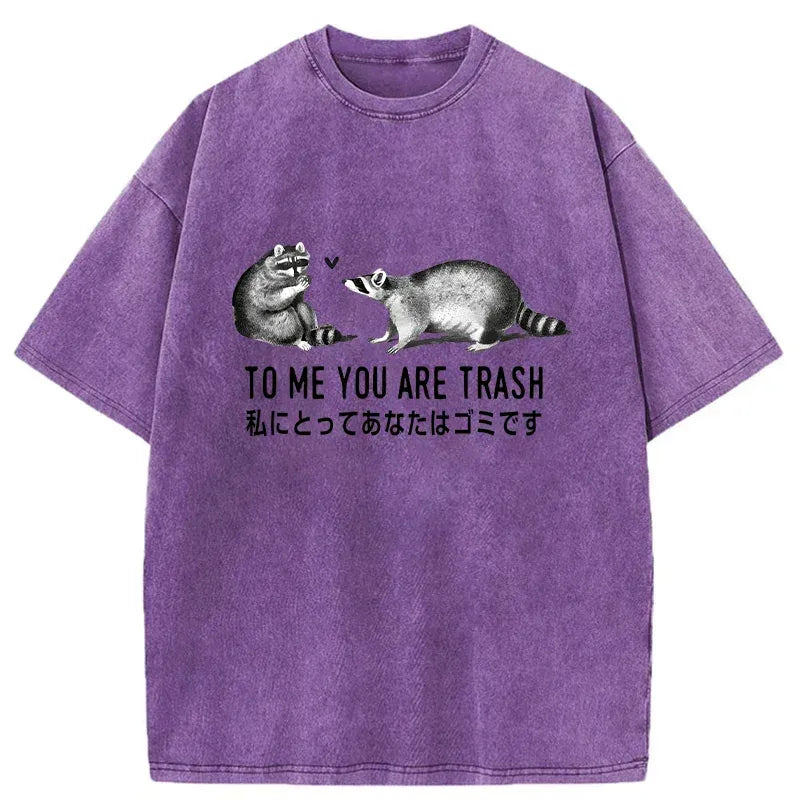 Japanese Washed Raccoon T-Shirt Free Shipping