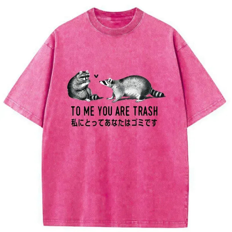 Kyoto-Lion Raccoon Courting Washed T-Shirt