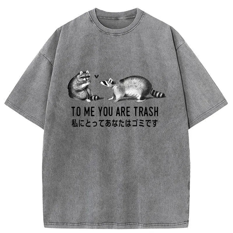 Japanese Washed Raccoon T-Shirt Free Shipping