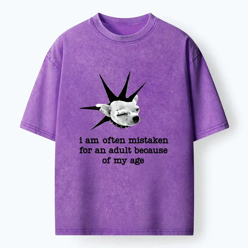 Japanese Vintage T-Shirt for Daily Wear