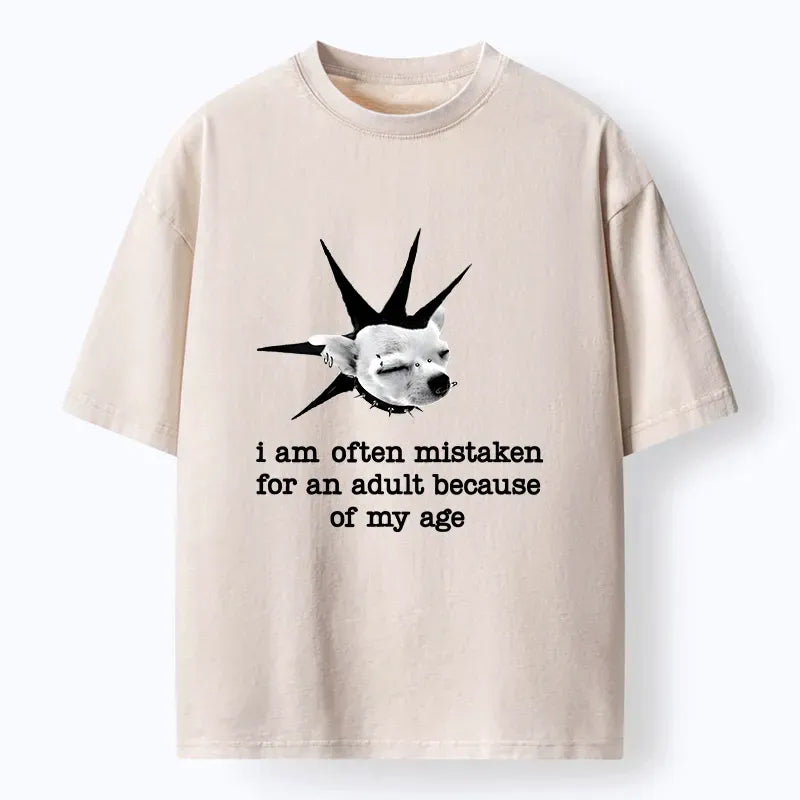 Kyoto Lion T-Shirt for Streetwear