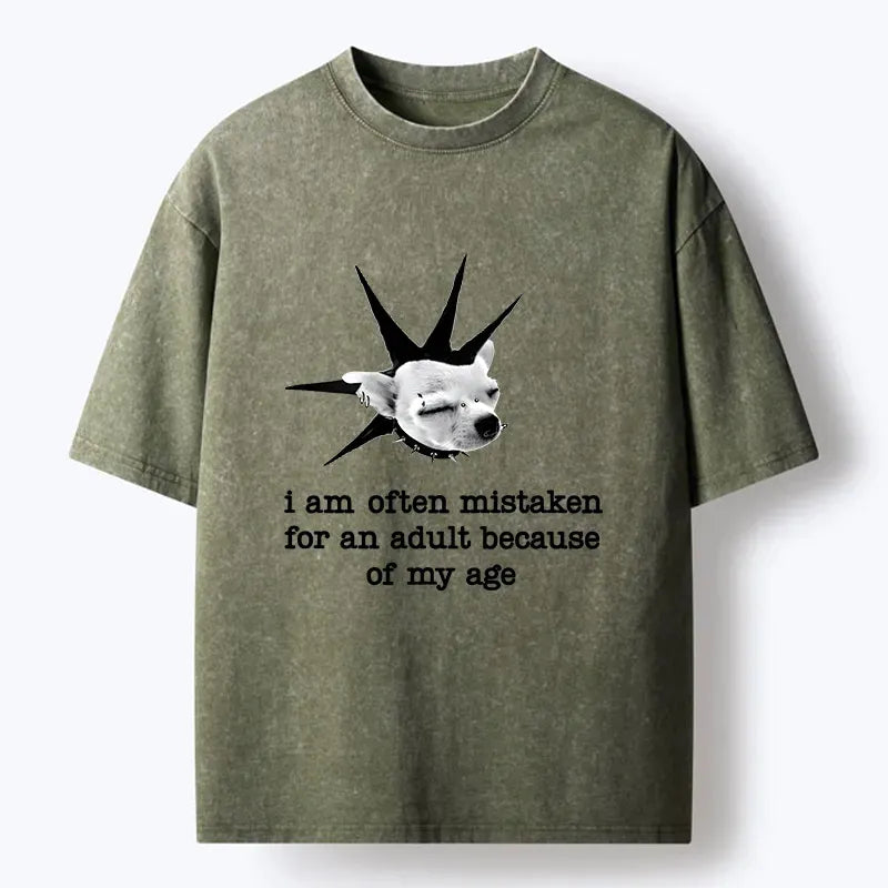 Kyoto Lion T-Shirt for Streetwear