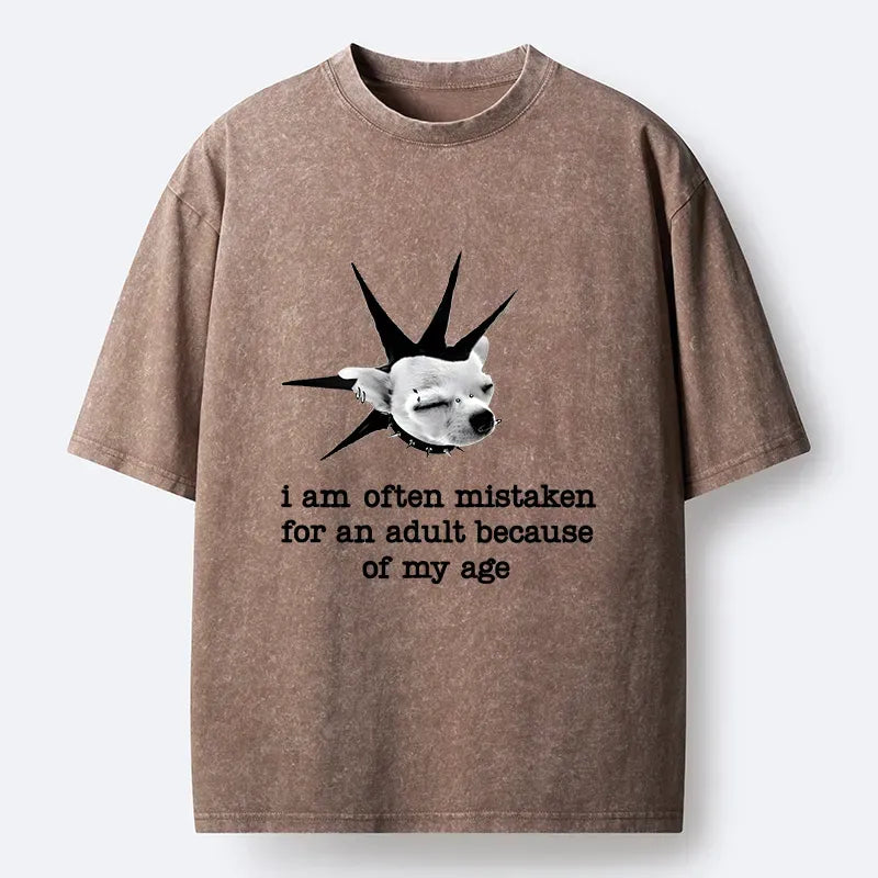 Kyoto Lion T-Shirt for Streetwear