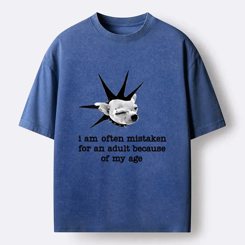 Washed Unisex T-Shirt for Gift Idea