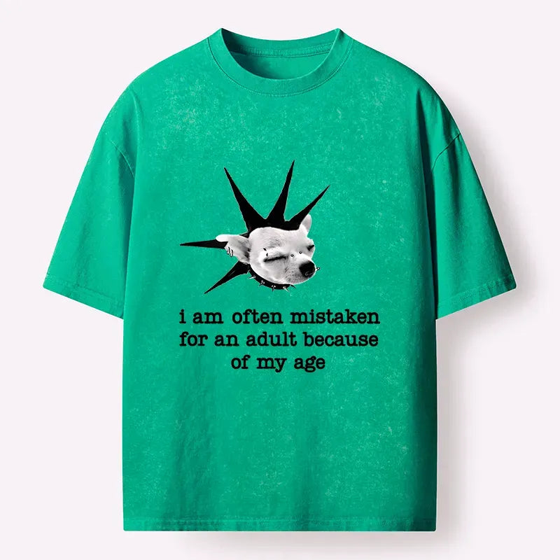Washed Unisex T-Shirt for Gift Idea