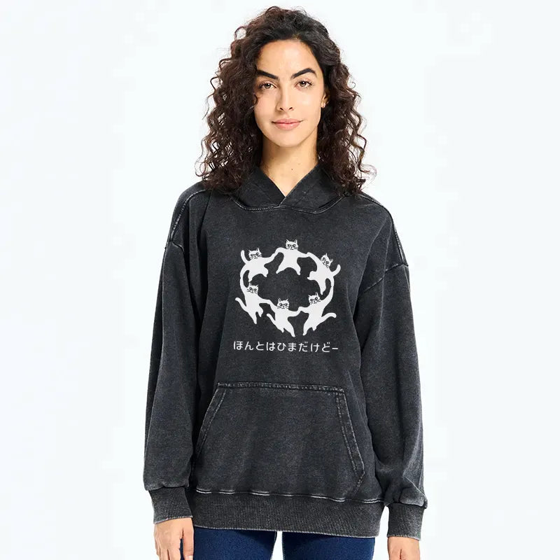Kyoto-Lion Leisure Cats Japanese Washed Hoodie