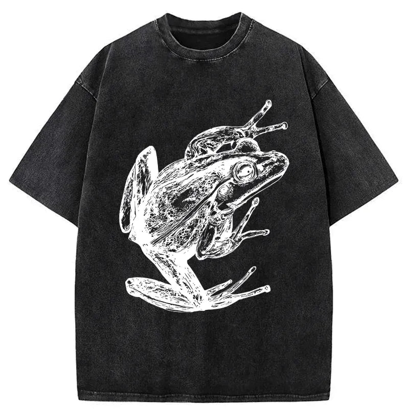 Kyoto-Lion Retro Frog Japanese Washed T-Shirt
