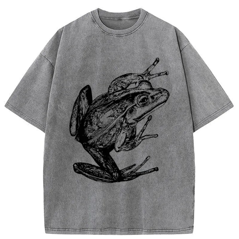 Japanese Retro Frog Graphic Tee Gift Idea