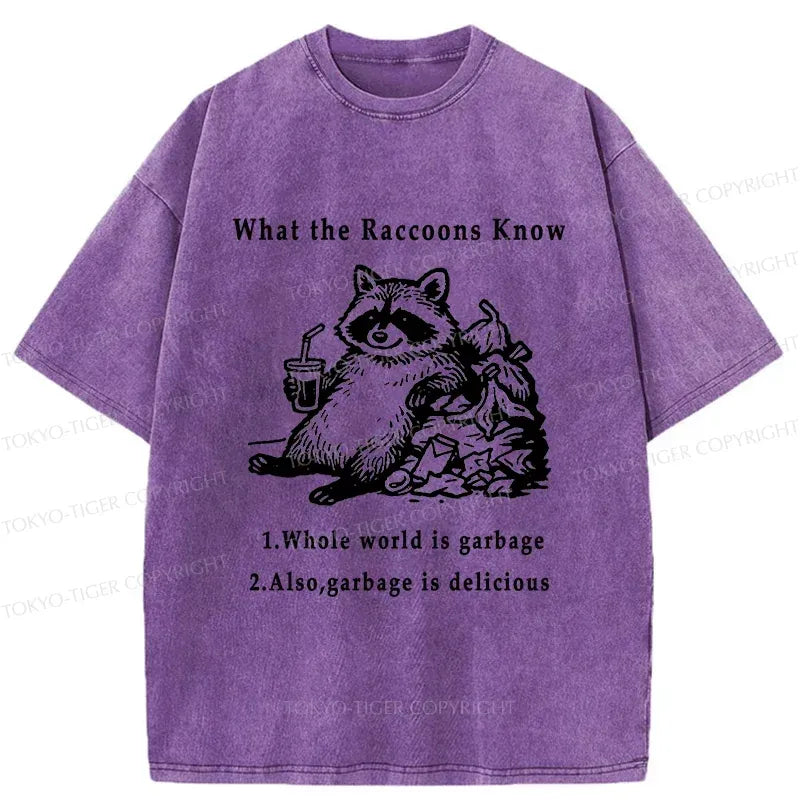 kyoto lion raccoon vintage t-shirt trending style