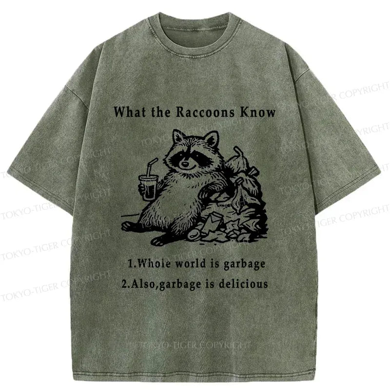 kyoto lion raccoon vintage t-shirt trending style