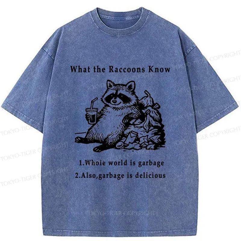 kyoto lion raccoon vintage t-shirt trending style