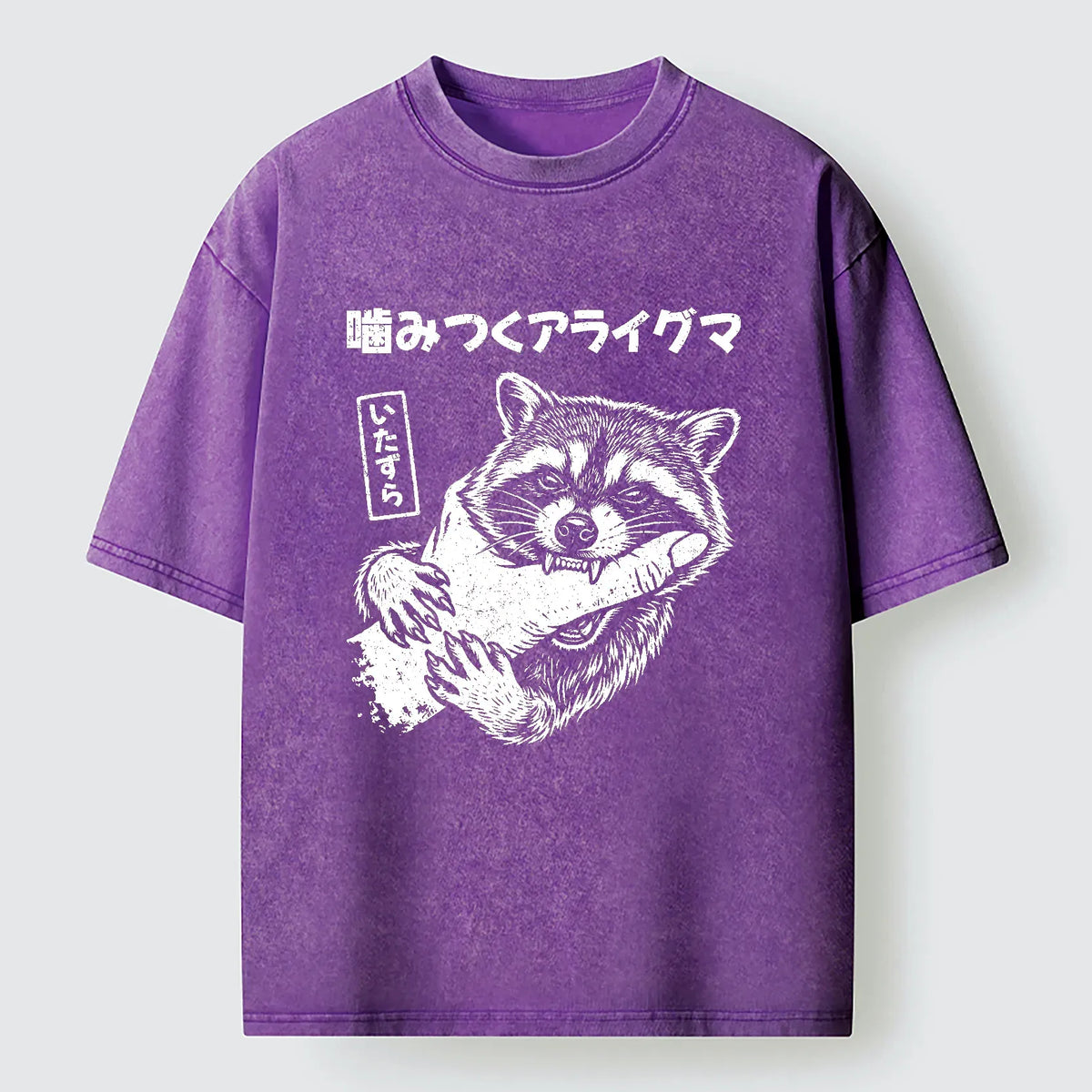 Vintage raccoon t-shirt for daily wear