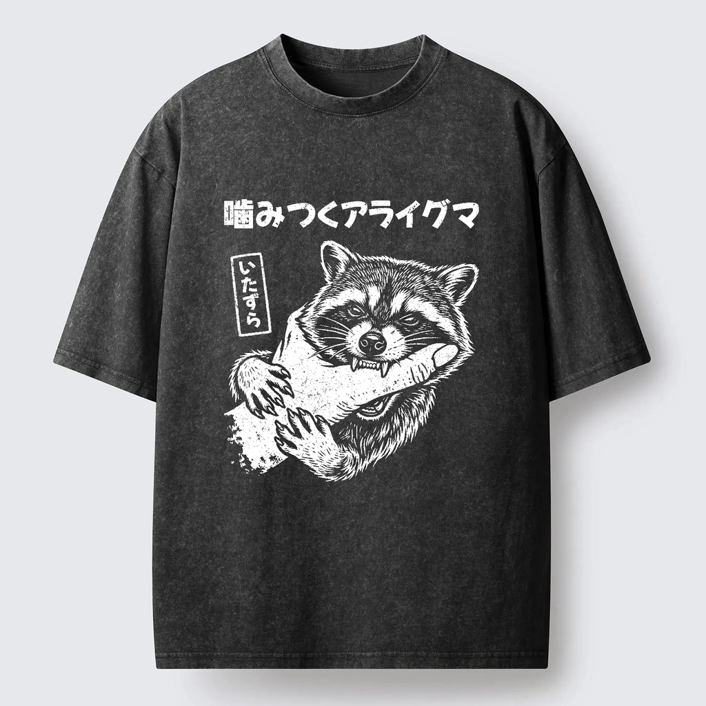 Kyoto-Lion Mischief Raccoon Washed T-Shirt