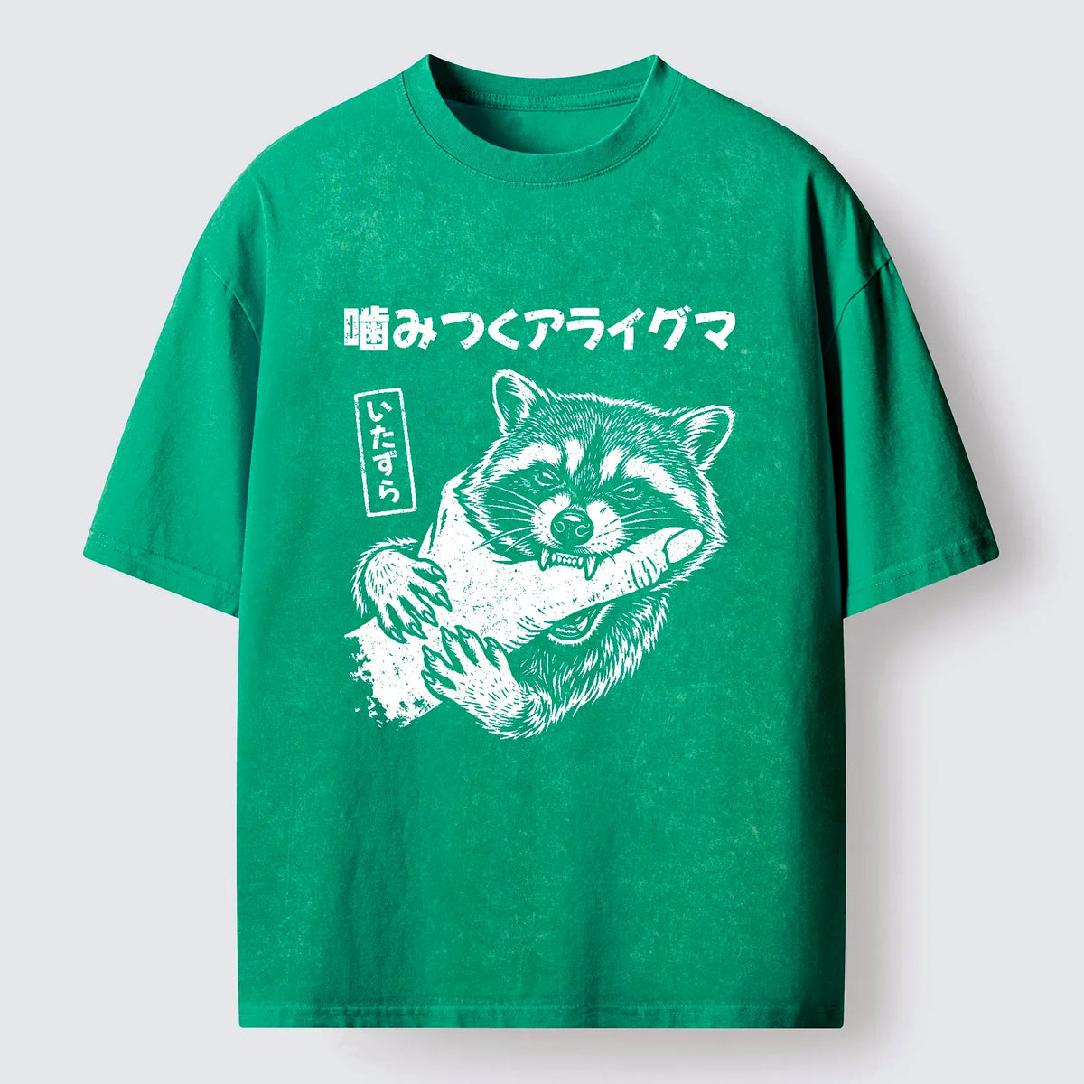 Vintage raccoon t-shirt for daily wear