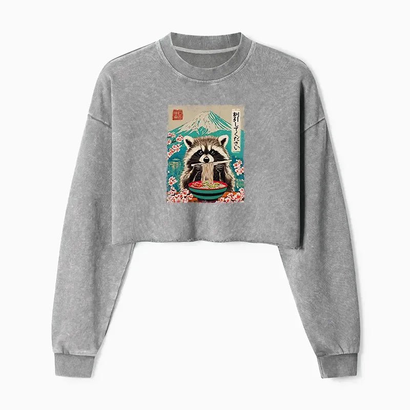 Raccoon Discount Sweatshirt for Streetwear