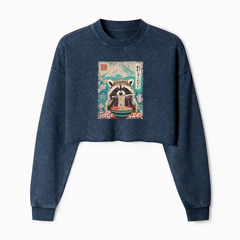 Raccoon Discount Sweatshirt for Streetwear