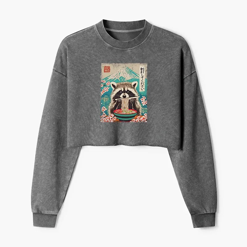 Raccoon Discount Sweatshirt for Streetwear