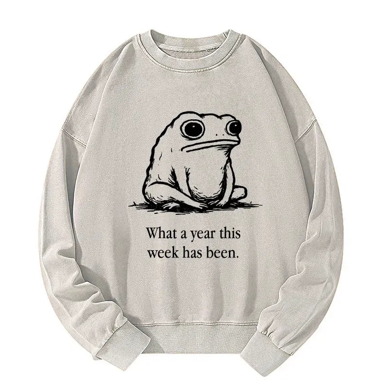 Kyoto-Lion This Week Feels Like A Whole Year Washed Sweatshirt