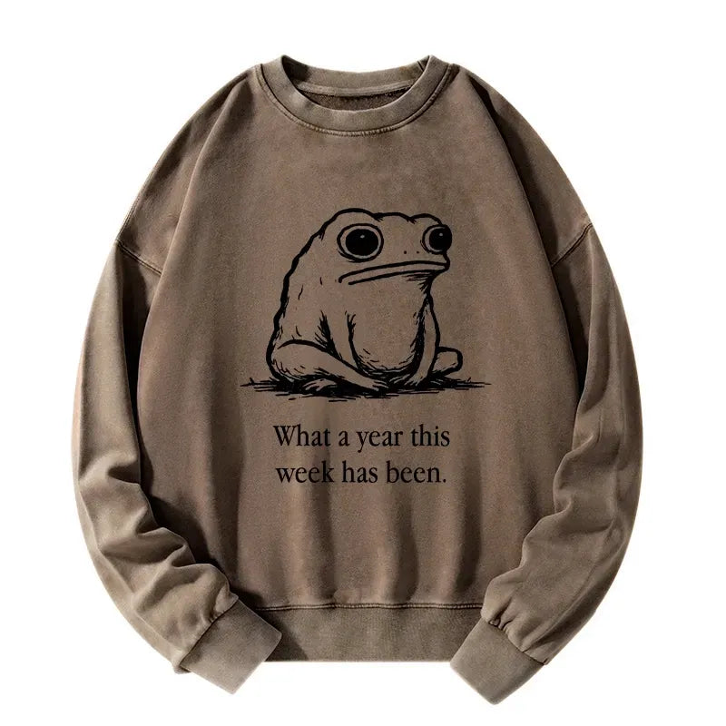 Kyoto-Lion This Week Feels Like A Whole Year Washed Sweatshirt