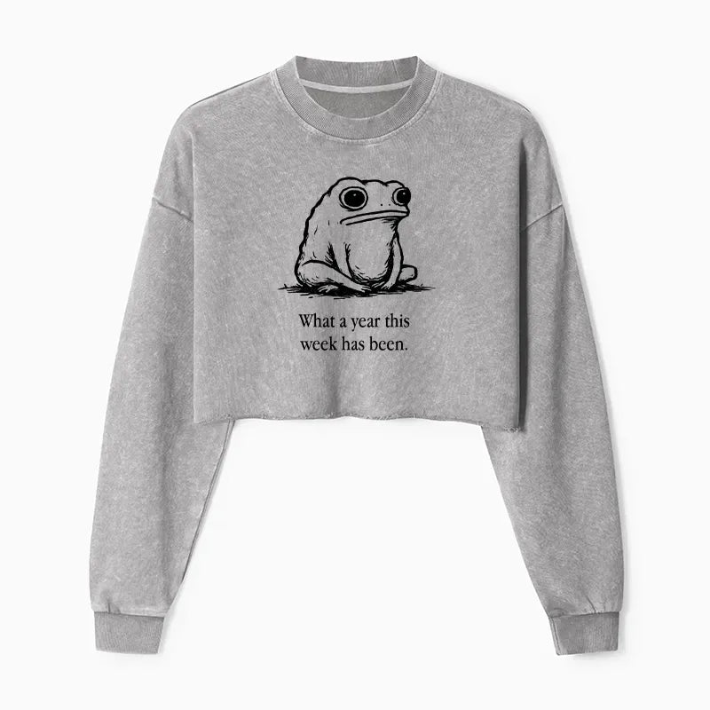 Kyoto-Lion This Week Feels Like A Whole Year Washed Crop Sweatshirt
