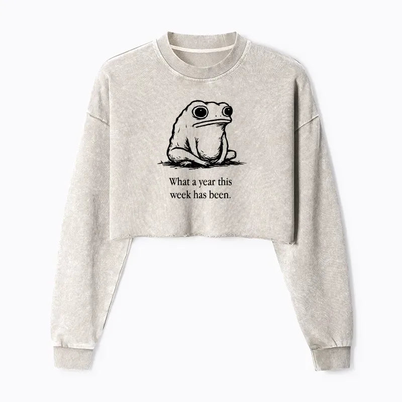 washed crop sweatshirt streetwear daily wear