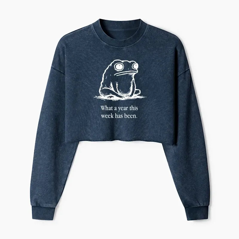 washed crop sweatshirt streetwear daily wear