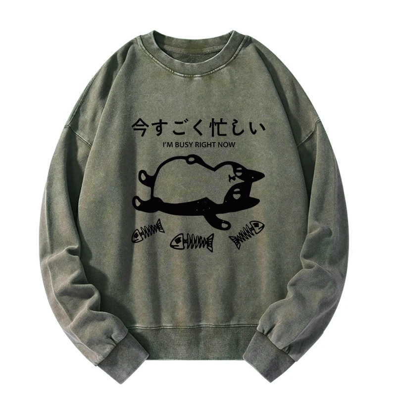 Kyoto Lion sarcastic sweatshirt gift idea