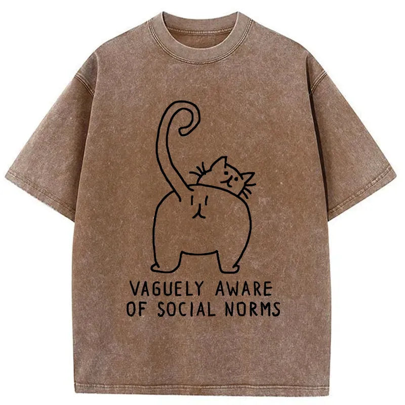 Kyoto-Lion Vague Understanding Funny Washed T-Shirt