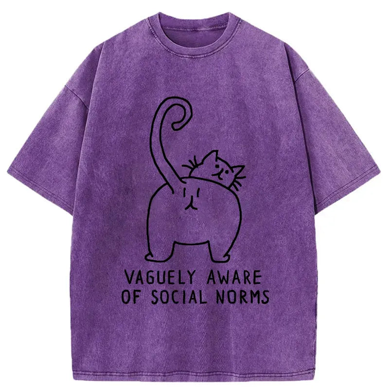 Kyoto-Lion Vague Understanding Funny Washed T-Shirt