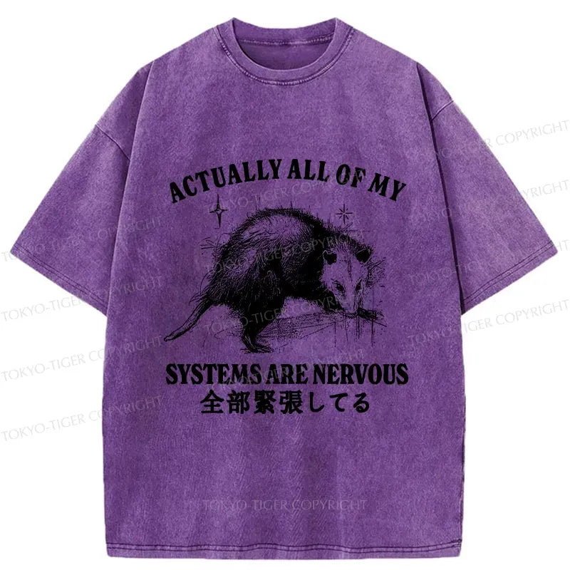 Kyoto Lion Washed T Shirt for Streetwear