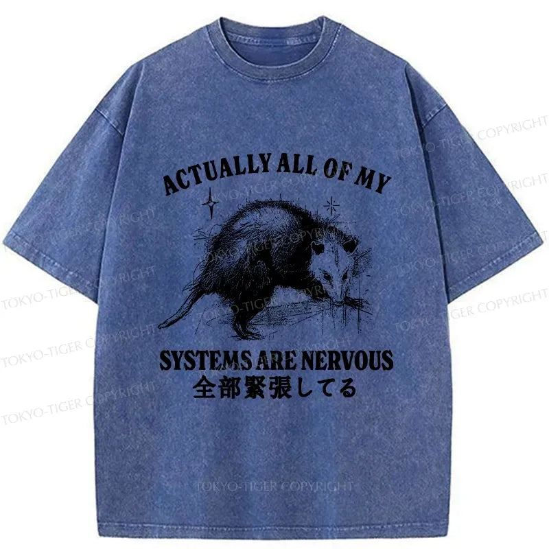 Kyoto Lion Washed T Shirt for Streetwear