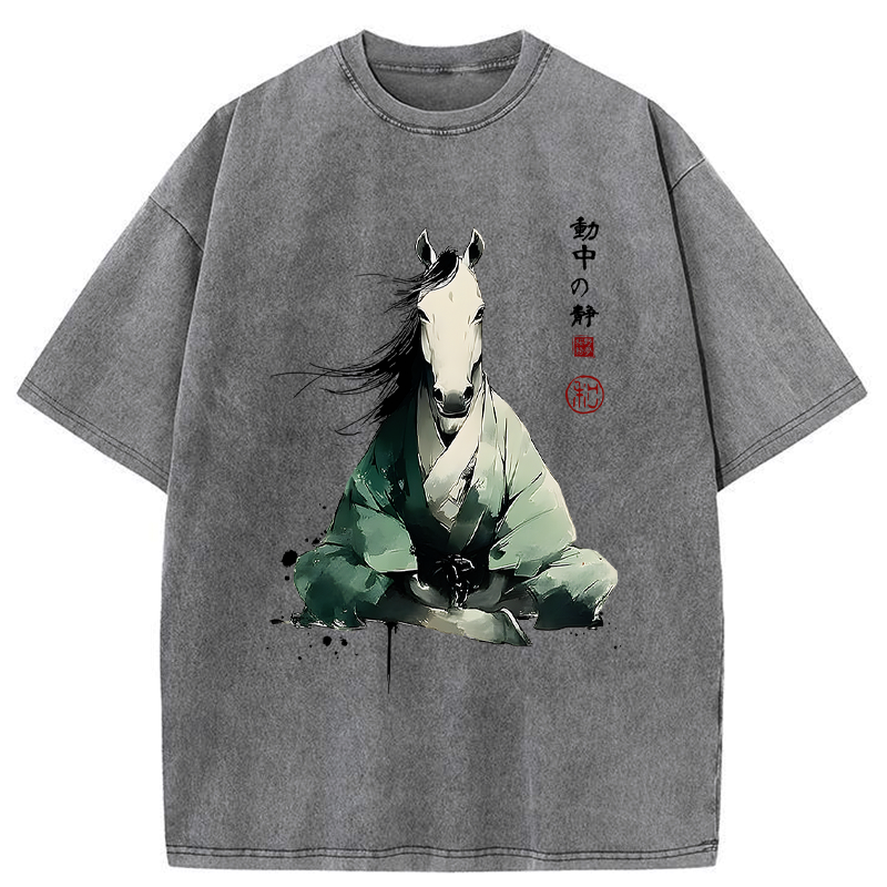 Kyoto-Lion Washed Tee for Gift