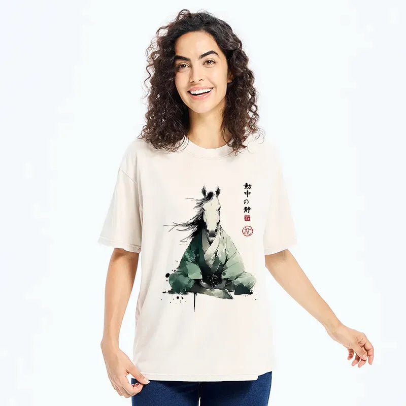 Kyoto-Lion Washed Tee for Gift