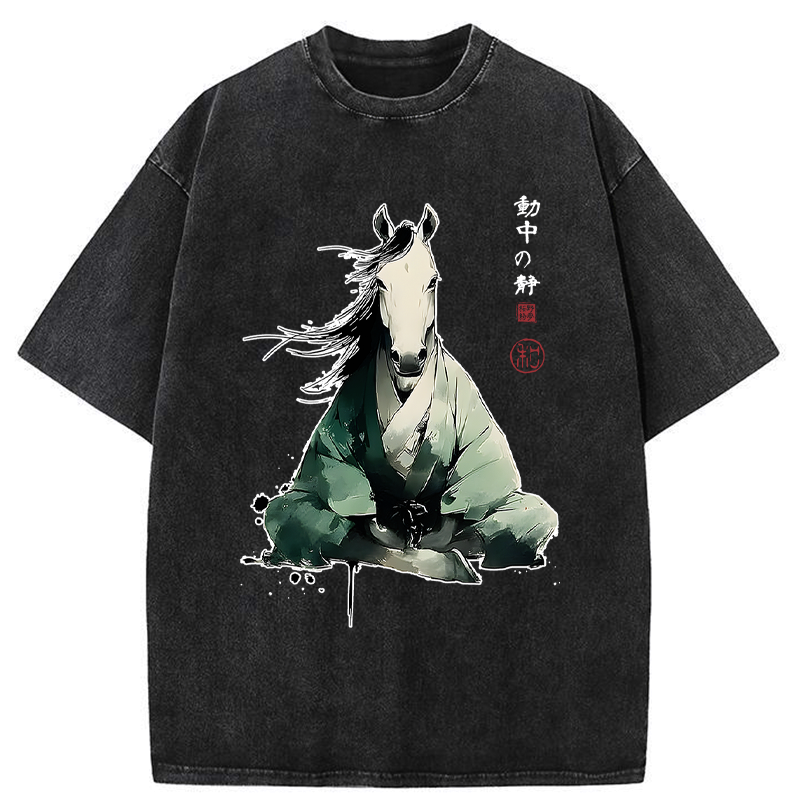 Kyoto-Lion Washed Tee for Gift