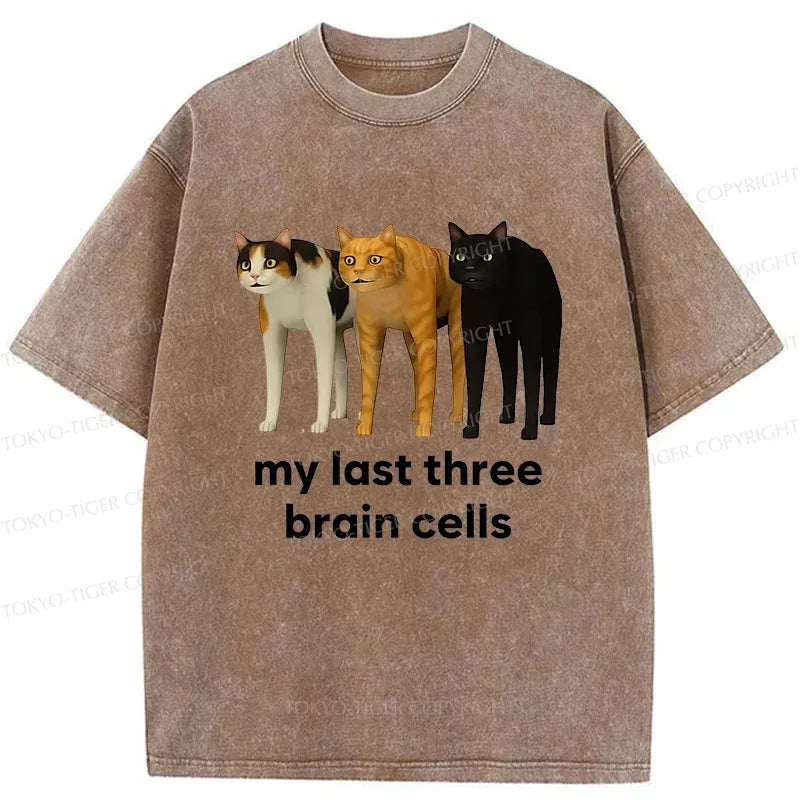 Kyoto-Lion Brain Cells Cats Washed T-Shirt