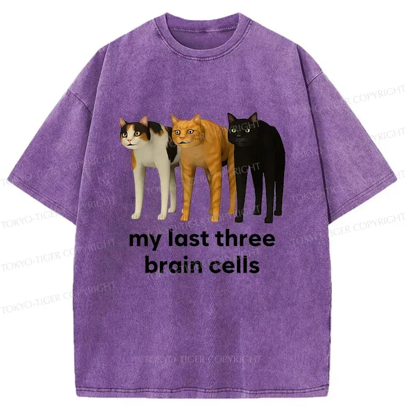 Kyoto-Lion Brain Cells Cats Washed T-Shirt