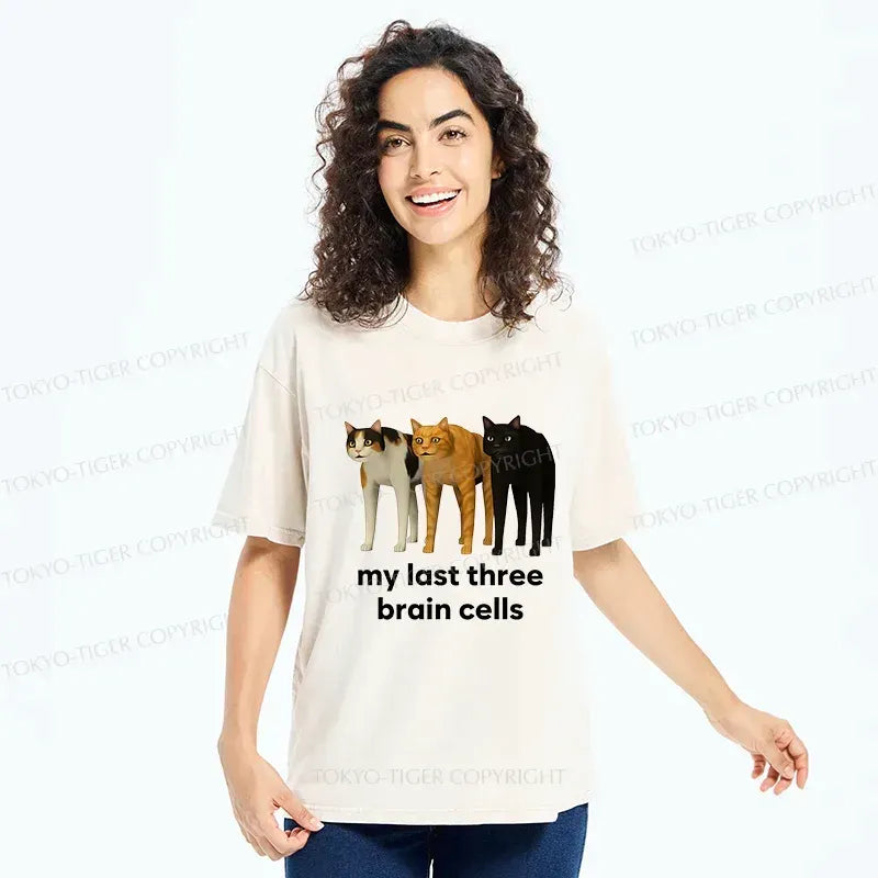 vintage Kyoto Lion t-shirt on sale
