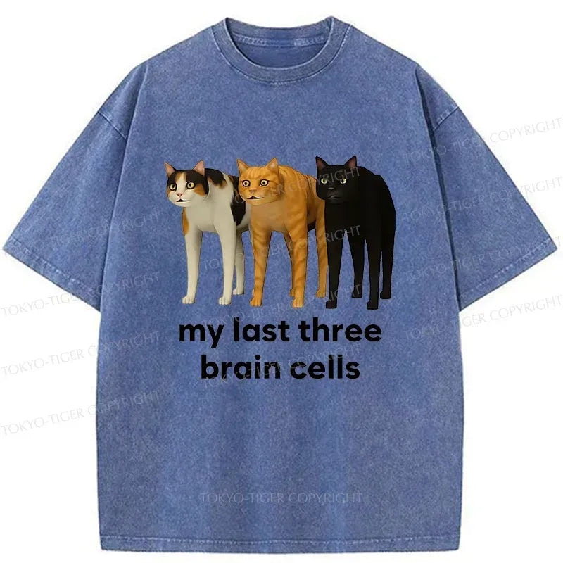 Kyoto-Lion Brain Cells Cats Washed T-Shirt
