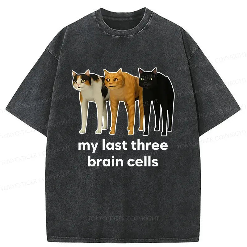 Kyoto-Lion Brain Cells Cats Washed T-Shirt