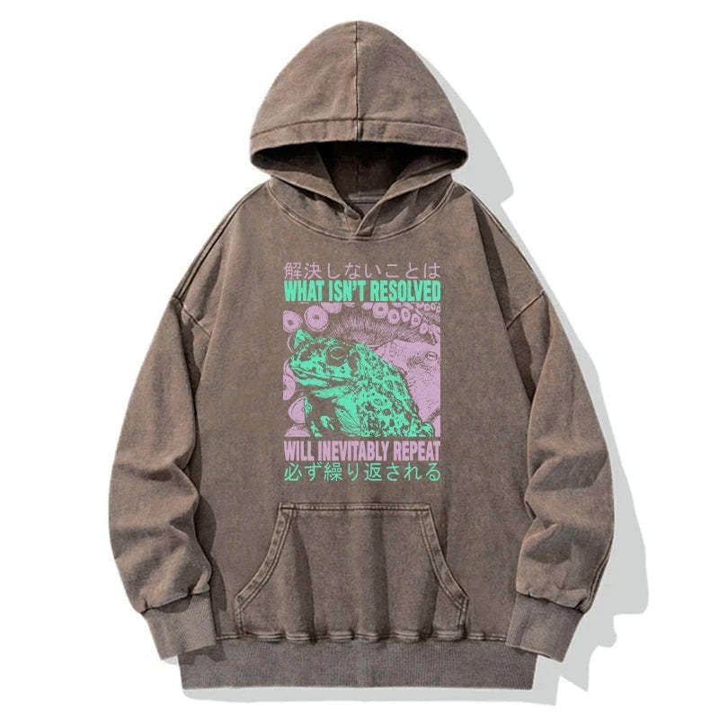 Kyoto Lion washed hoodie for daily wear