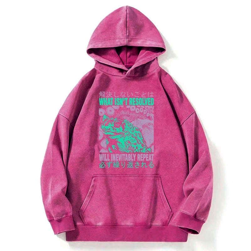 Kyoto Lion washed hoodie for daily wear