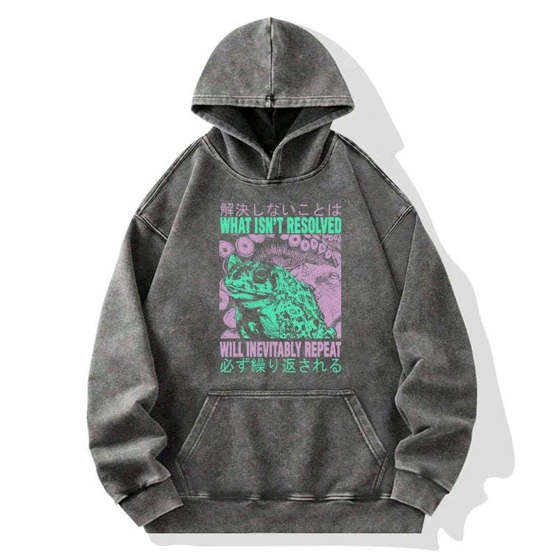 vintage Kyoto lion hoodie comfortable fit