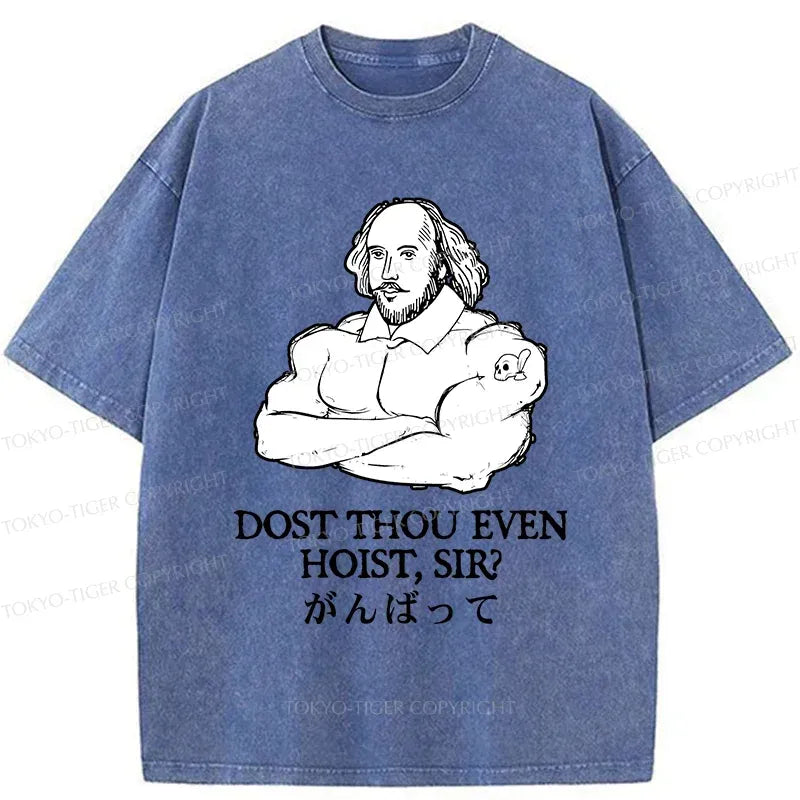 Kyoto Lion Japanese Washed T-Shirt for Everyday Wear