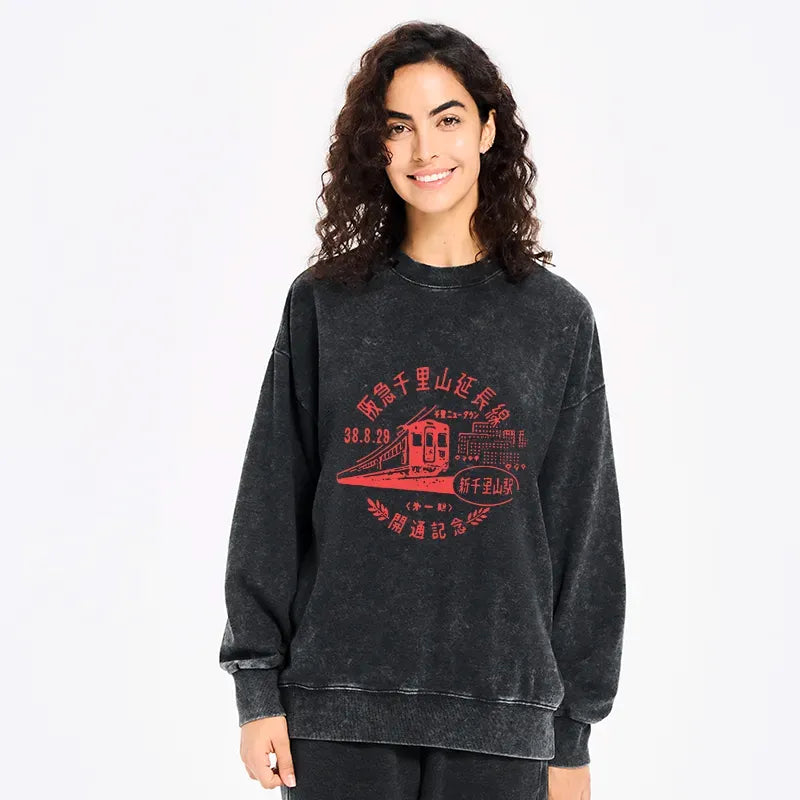 Train washed unisex sweatshirt free shipping
