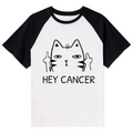 Kyoto-Lion Cat Giving The Middle Finger Raglan T-shirt